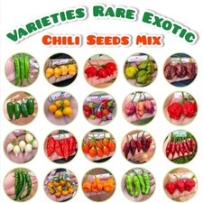 40 Varieties Rare Exotic Chili Seeds Mix Organic Hot Pepper