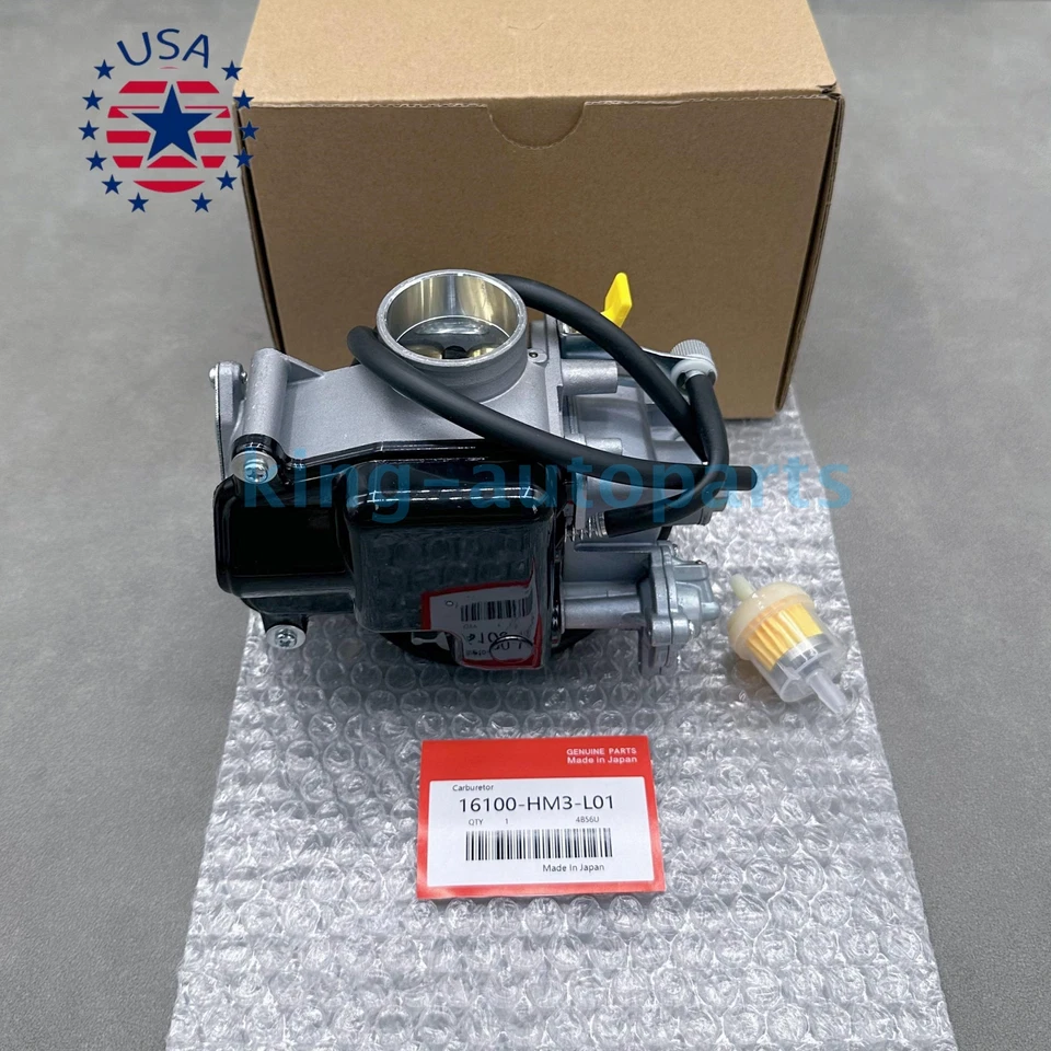 NEW Carburetor For 1993-2006 Honda Sportrax 300 TRX300EX 16100-HM3-L01 ATV US Foto 3 de 4