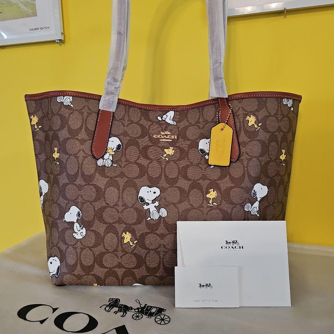 COACH x Peanuts Collaboration Tote bag CF-166 Khaki Redwood Multi  
