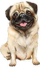 Cute Pug Sticker Decal