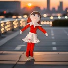 ELF ON THE SHELF Girl Plush Skirt Christmas Tradition CCA&B 2005 Plushie Doll — photo 1