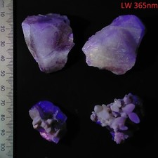 Fluorite w/ Dogtooth Calcite two-color long wave fluorescent specimens lot 538ct