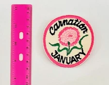 Vintage January Carnation  Patch Embroidered Flower Of The Month Sew On