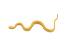 Yellow Tree Snake, Rubber Reptile, Realistic Hand Painted Toy 4 1/2" F3462 B360