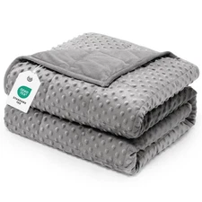 Minky Dot Weighted Blanket for Adults Queen Size 15 lbs, Soft Cozy Heavy Blan...