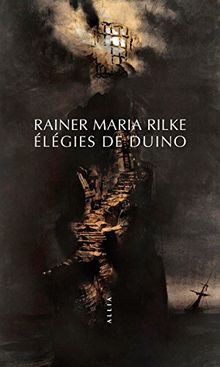 Elegies de Duino (nouvelle édition) von Rilke Raine... | Buch | Zustand sehr gut