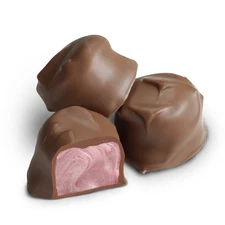 Albanese Milk Chocolate Raspberry Creams  Choose Size Free Ship