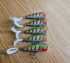 (5) Rebel Pop-R P60 Topwater Poppers, Lot of 5 Fishing Lures *Exclusive Color*