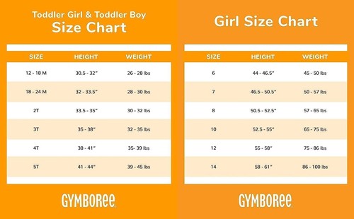 Gymboree Girls and Toddler Embroidered Graphic Long Sleeve T-Shirts SIZE 10 - Picture 3 of 3