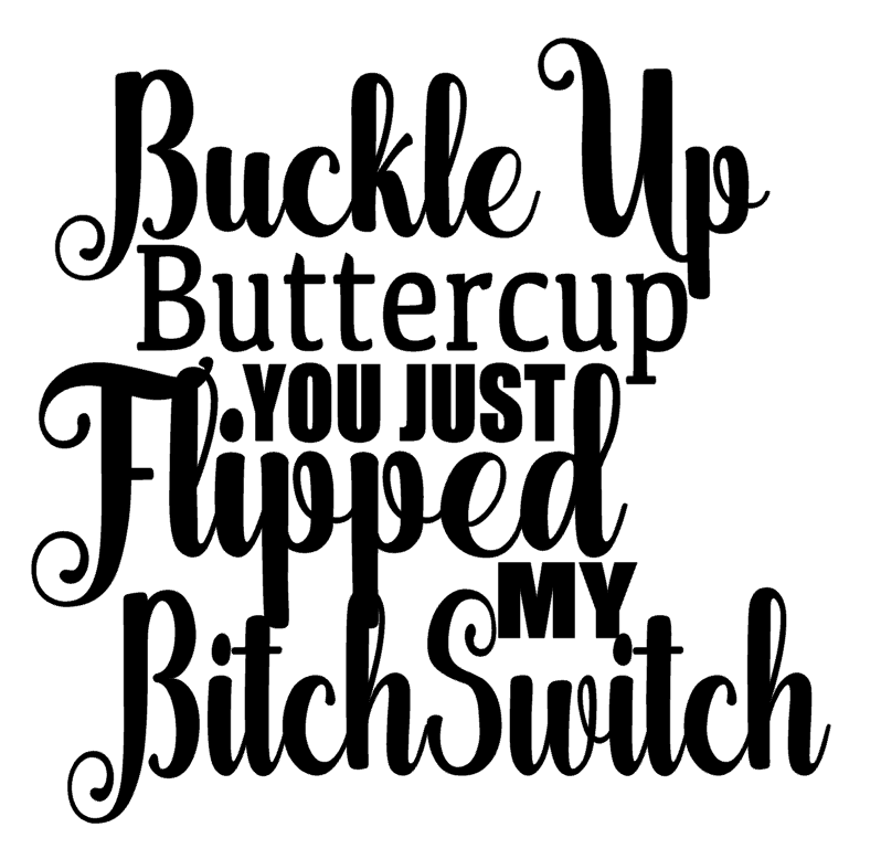 Buckle Up Buttercup You Just Flipped My Bitch Switch Vinyl Decal Sticker a3332