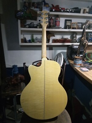 Takamine G Series エレアコ Amazon | Takamine タカミネ G Series GN71CE NEX Cutaway エレアコ