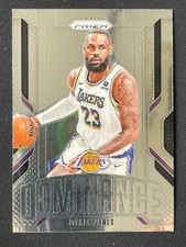 Lebron James 2024-25 Panini Prizm Dominance #14