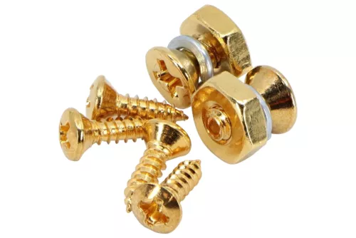 Pickguard Bracket Screws & Nut Set of 2 for Gibson Les Paul Gold Finish