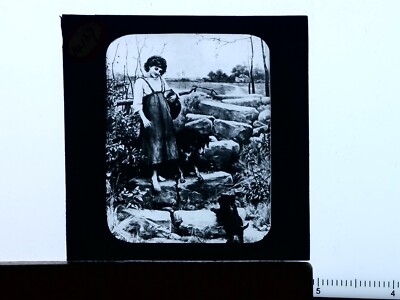 Girl Fetching Water with Dogs Glass Magic Lantern Slide Antique c1905 Y20424