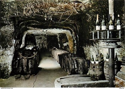 Postcard - Vines - Touraine - La cellar au presseir - CPM - See Scans Recto