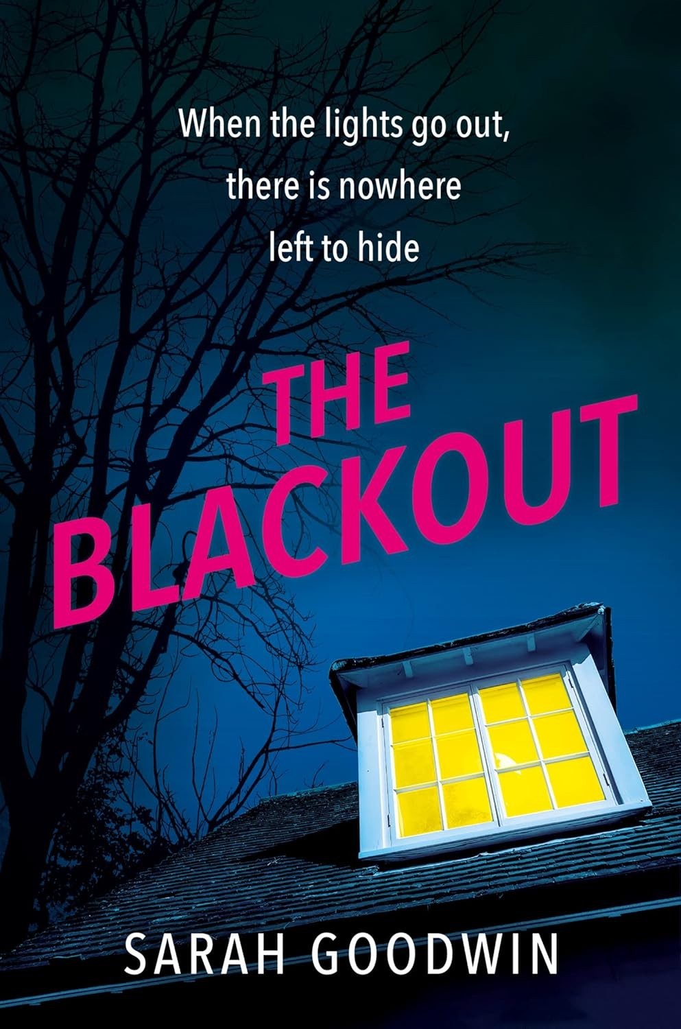 The Blackout by Sarah Goodwin Book NEW psychological thriller Novel Paperback