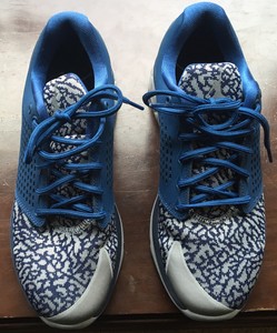 jordan trainers blue