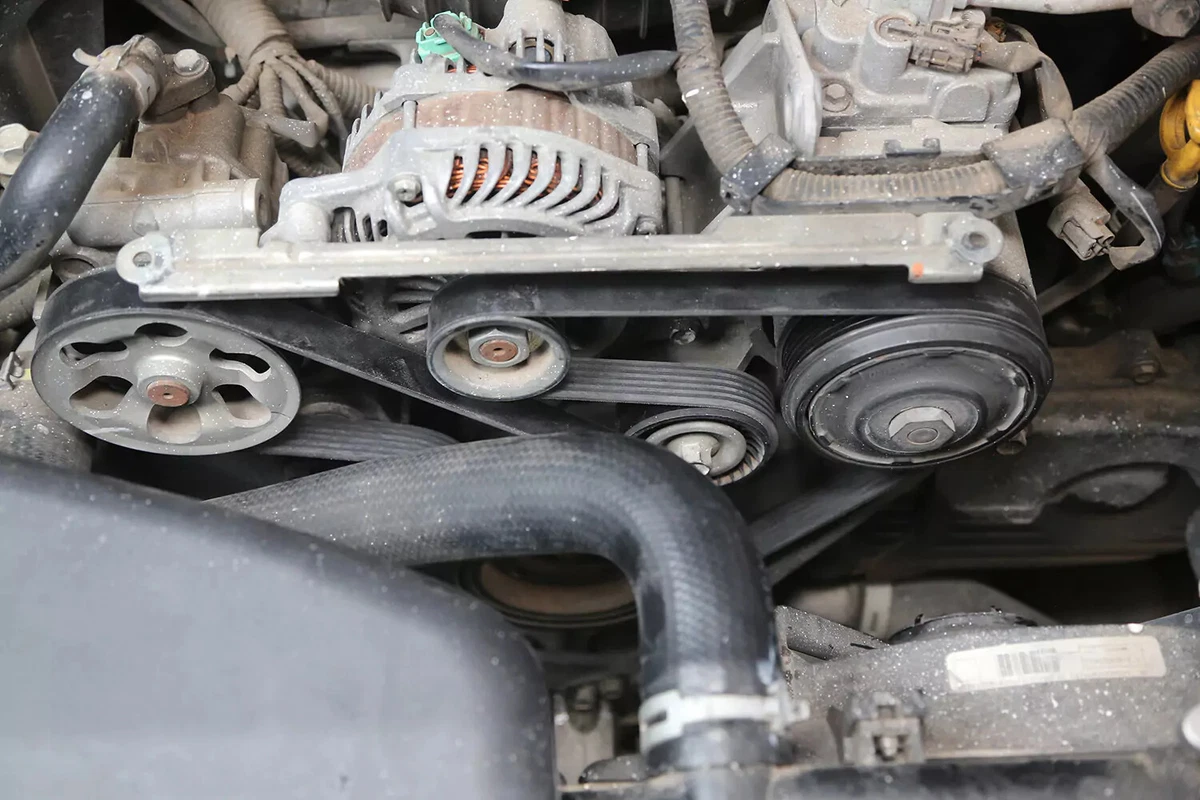A new serpentine drive belt installed on a vehicle's accessory drive.