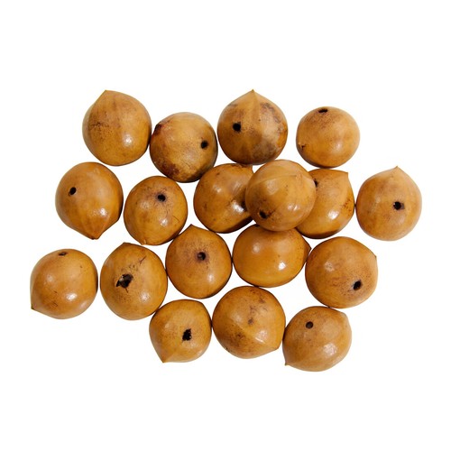 15mm Chunky Round Nutshell Beads Natural Earthy Brown 18pcs Loose Vintage Mix