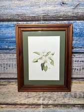 Framed Apple Blossom Acrylic Painting Jeanette A Hawkins 27x21.5cm