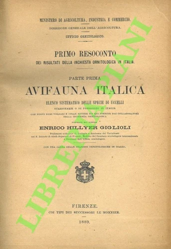 GIGLIOLI HILLER Enrico - First report of the results of the ornithol survey