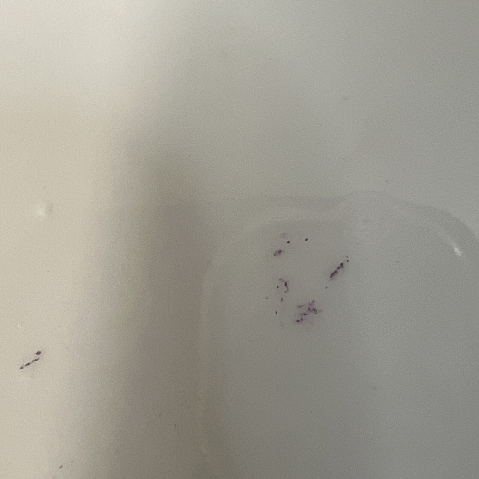 Picture 6 of 6