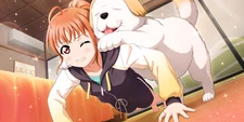 Anime takami chika love live sunshine girls dog Playmat Game Mat Desk