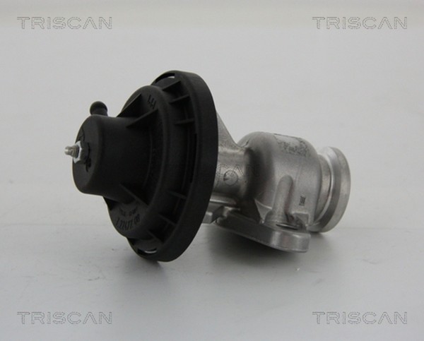 Triscan AGR Ventil 8813 29034 FüR Seat VW Skoda Polo 3 6N1 6N2 Caddy 2 9K9A 6V2-image