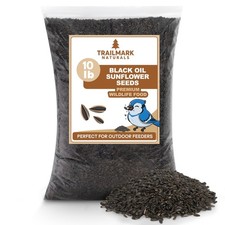 - 10 Pound Black Oil Sunflower Seeds for Birds Premium Wildlife Food Non ...