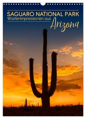 SAGUARO NATIONAL PARK Wüstenimpressionen aus Arizona (Wandkalender 2026 DIN A3 h