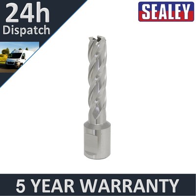 Sealey Worksafe �� 13 mm HSS Mag Bohrer Schnitttiefe 50 mm RBHSS13L