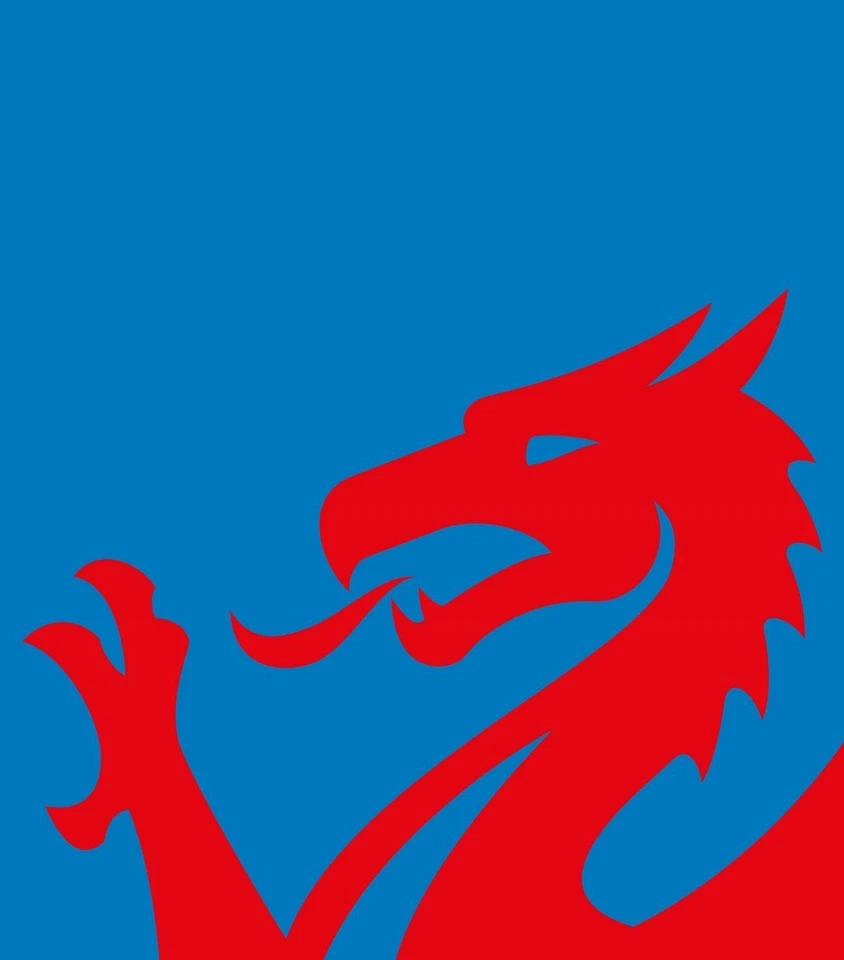 Quinton Hazell Front Discs (Pair) & Front Pads - Image 3 of 4