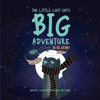 Carol Ann Treacy | The Little Lost Cat's Big Adventure In Kilkenny | Taschenbuch