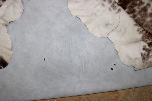 26.2 Ft Original Cowhide Rug/fur skin, Fully Processed Cow Hide Upholstery Skin - Picture 6 of 9