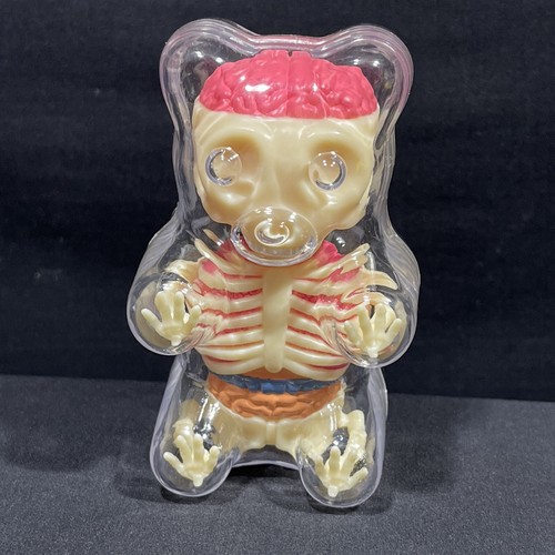 4D Master Baby Gummi Bear Skeleton Anatomy Model - 第 2/9 張圖片