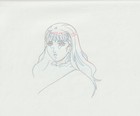 The Twelve Kingdoms Juuni Kokki Genga Douga Original Sketches Pierrot - Youko — photo 3