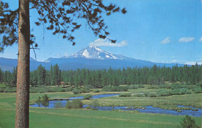 Metolius River Mt Jefferson Central Oregon