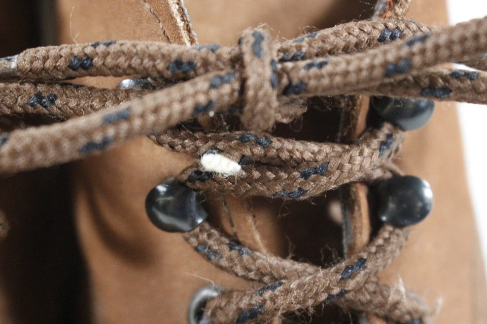 Zapatos Dexter De colección Para Mujer 9 W Walk Mocs Cuero Tobillo Chukka Botas EE. UU. Marrón Foto 3 de 4