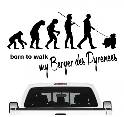 Berger des Pyrenees Petit Berger Evolution Autoaufkleber Hund Aufkleber Folie