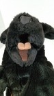 Bild 12 von 15