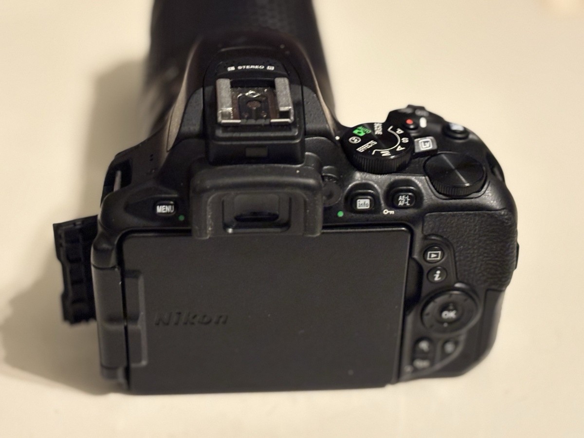 Nikon D5600 w Nikon AF-P Nikkor DX 18-55mm 3.5-5.6 G VR Lenses