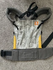 Tula Ergonomic Baby Standard Carrier - Shenandoah-Toddler Size