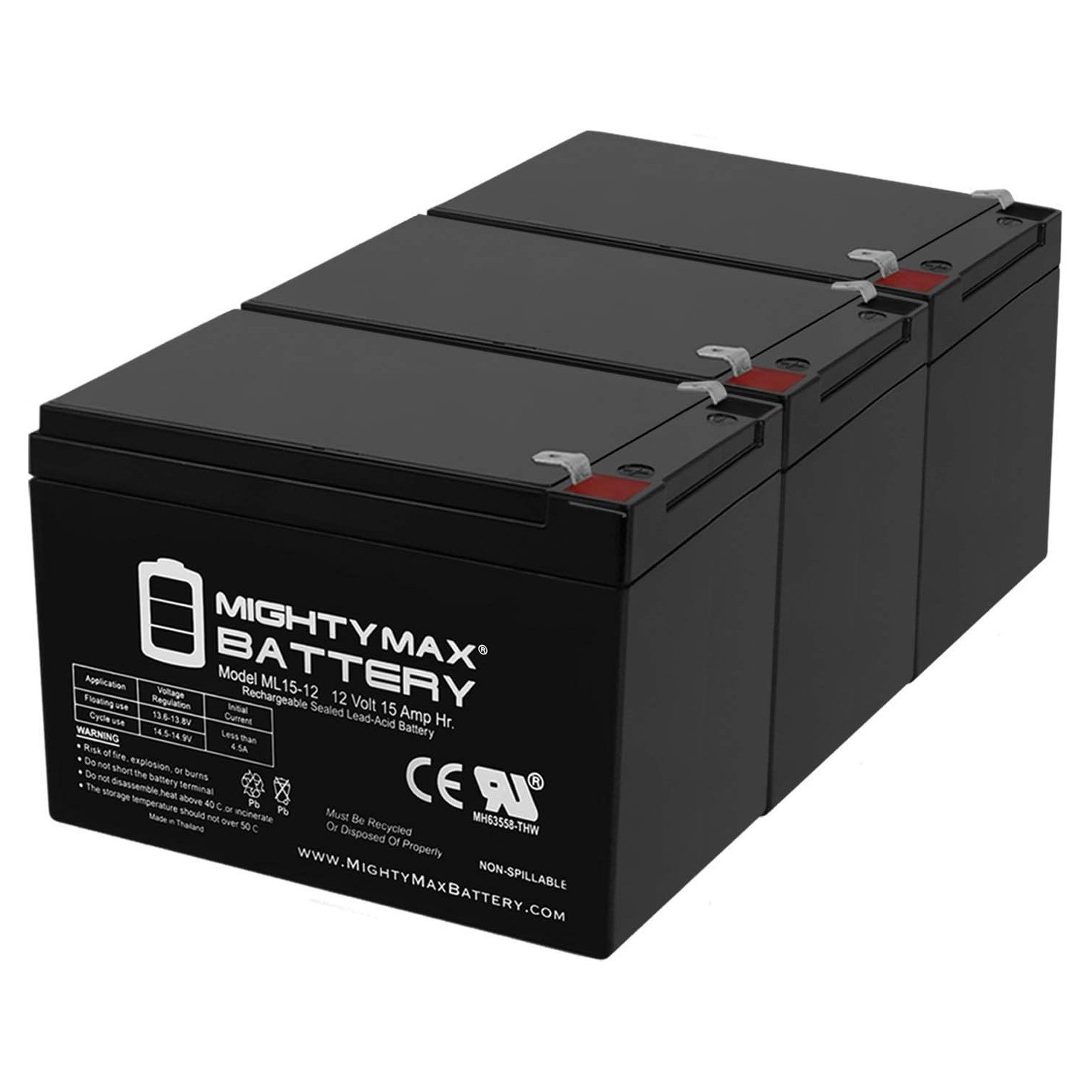 Dirt Rider 800w - 3 Pack