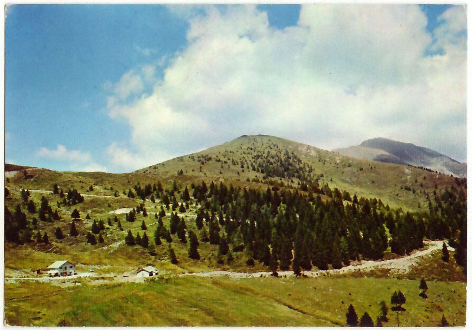 VETRIOLO - TRENTO - RIFUGIO "MALGA MASI" - VIAGG.-18793
