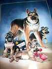 Bradford Exchange German Shepherd Plate ON CALL A3854 by Linda Picken — photo 2