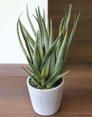 artplants Künstliche Aloe NAMIKA im Betontopf, grün, 40cm