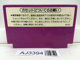 AJ3394 Spartan X Kung Fu Master Nintendo Famicom NES Japan