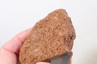 Morocco Yellow Jacket Jasper lapidary 10.4 oz. windowed rough lot P5 — photo 10