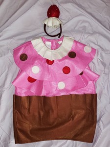 Pottery Barn Kids Girls Cupcake Halloween Costume W Strawberry