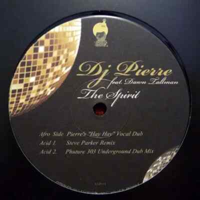 DJ Pierre Feat. Dawn Tallman The Spirit Vinyl Single 12inch NEAR MINT Afro Ac